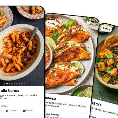 Dish cards with reference photos